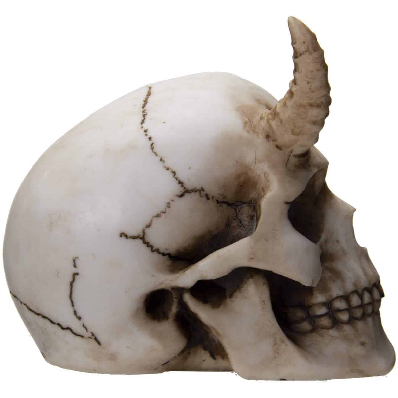 Horned Skull Figurine - Image 2