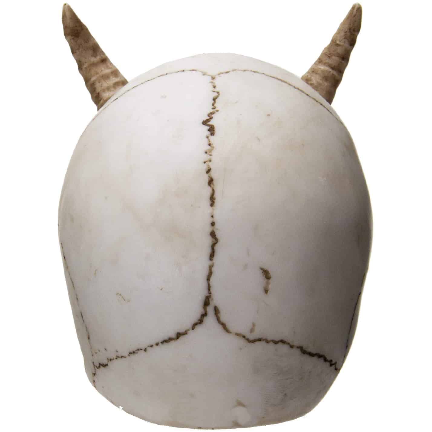 Horned Skull Figurine - Image 3